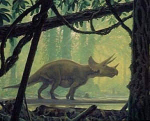 Triceratops