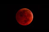 Blood-moon