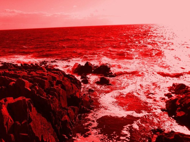 sea_of_blood